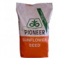 Semințe floarea soarelui Pioneer P64LE136 + Express Pachet 5 ha