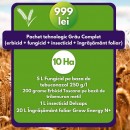 Pachet tehnologic Grâu Complet (erbicid + fungicid + insecticid + îngrășământ foliar)- 10 ha