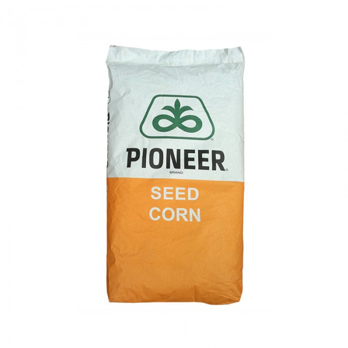 Semințe porumb hibrid Pioneer P99639
