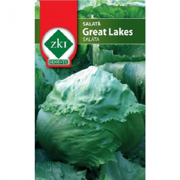 Semințe Salată Great Lakes