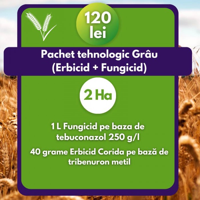 Pachet tehnologic Grâu- Erbicid + Fungicid- 2 Ha